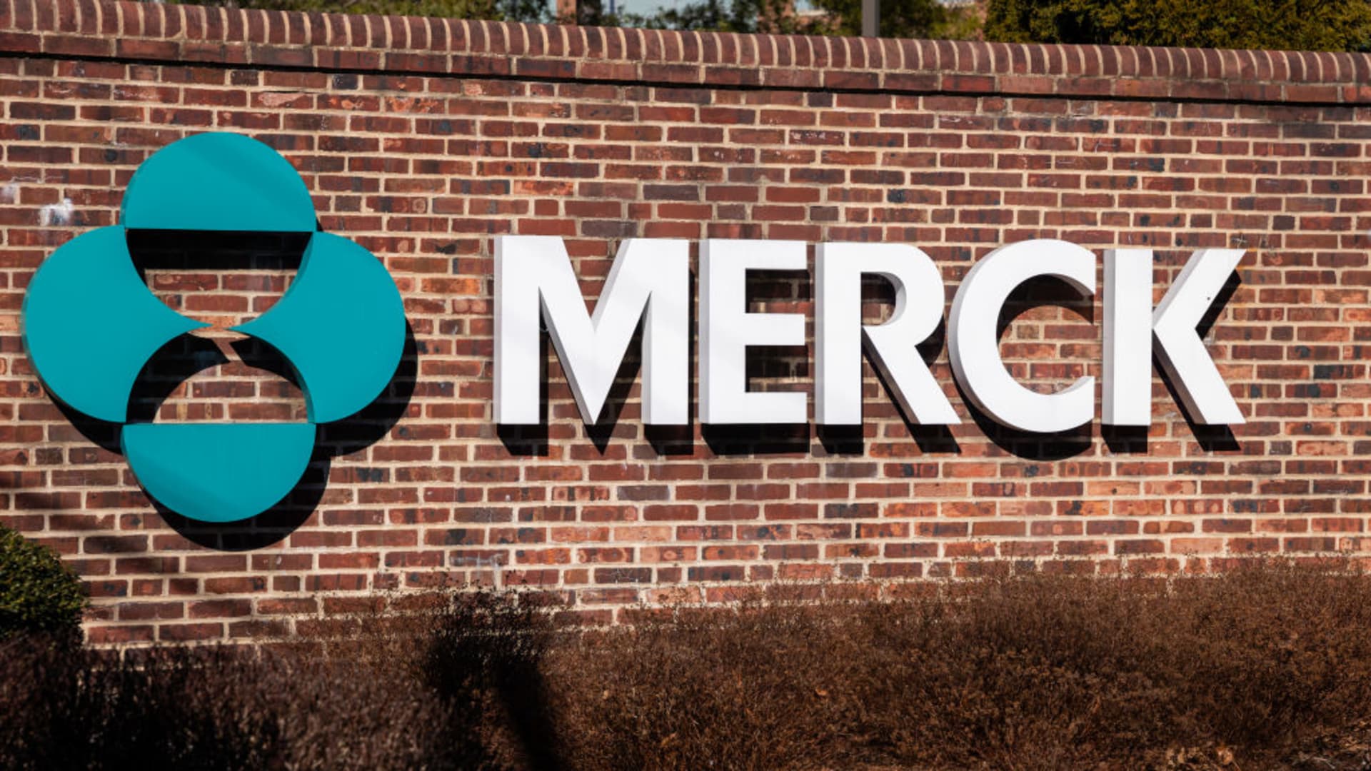 Merck tops profits estimates on robust call for for Keytruda, untouched medication at the same time as HPV vaccine gross sales fall