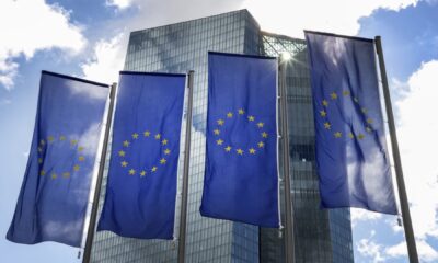 shares, information and the ECB fee determination