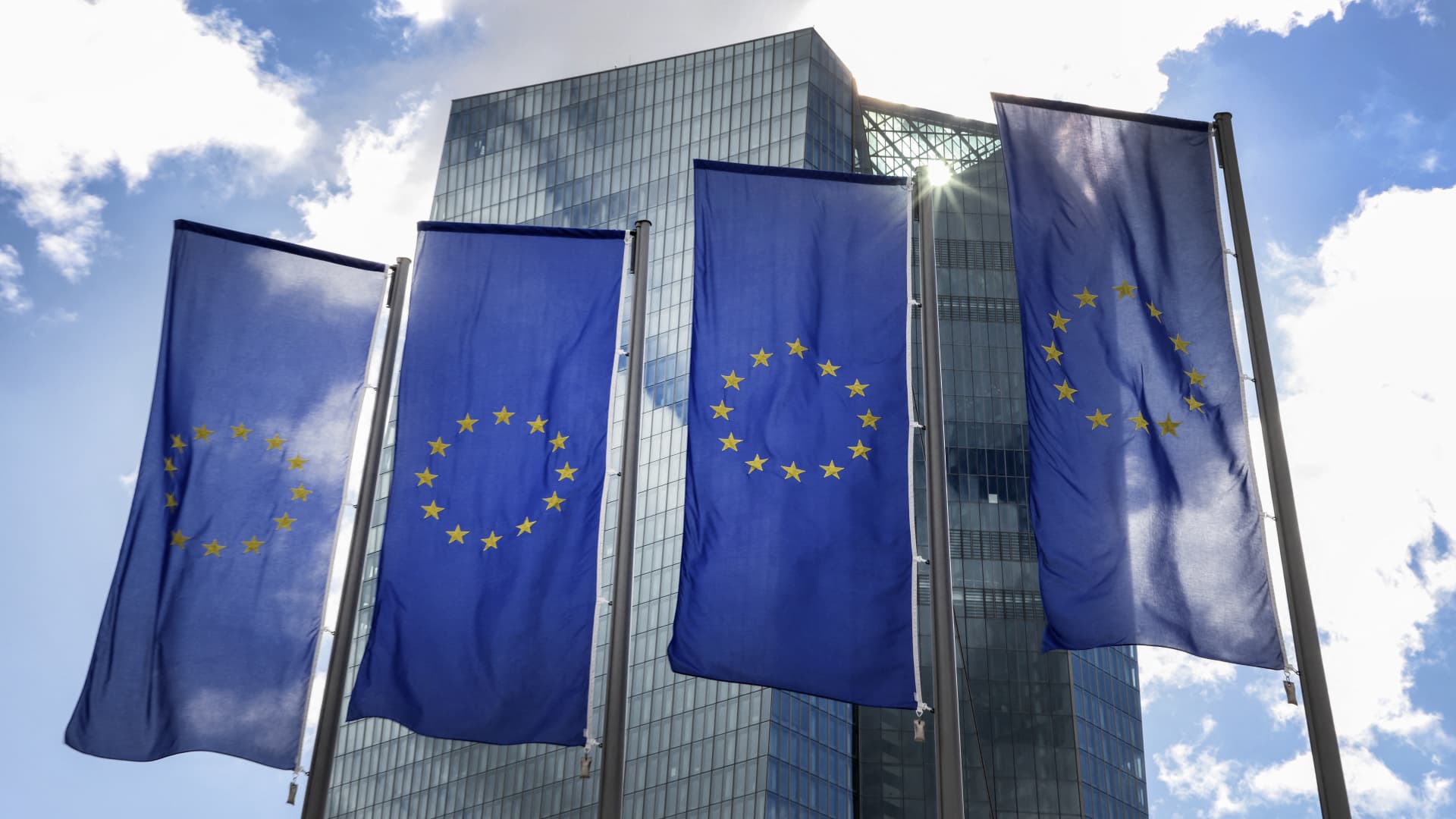 shares, information and the ECB fee determination